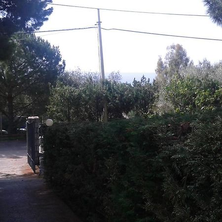 Borgo Marinaro Bed and Breakfast Marina di Camerota Eksteriør billede