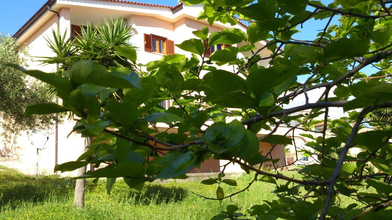 Borgo Marinaro Bed and Breakfast Marina di Camerota Eksteriør billede